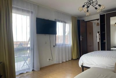 Pentru 3 luni!! Garsoniera, priveliste frumoasa, pet friendly, loc parcare, Sche - 3