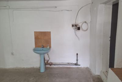 Spațiu comercial, de 110 mp, în Lotrioara - 1