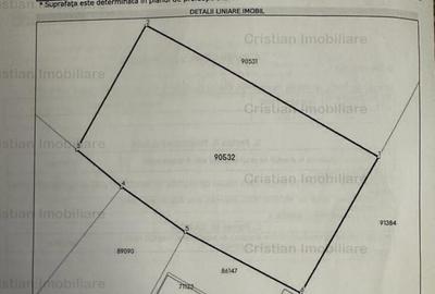 1073mp cu 25m deschidere Radu Negru Buzaului 121Euro/ mp - 3
