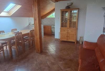 Casă cu Teren 4000 Mp în Central - 11