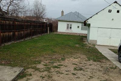 Casă cu 3 camere cu Teren 3075 Mp în Balș - 1