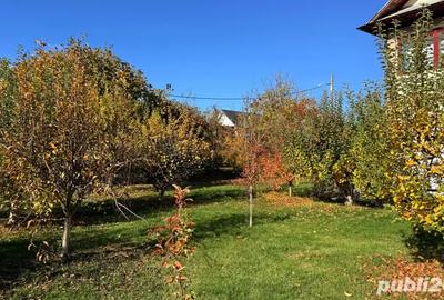 Casa de vanzare curtea de arges - 4