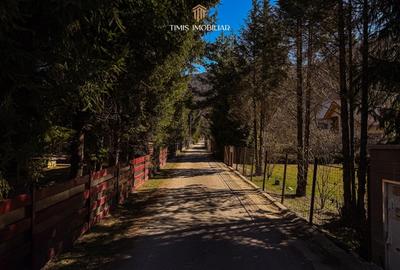 Teren agricol intravilan de 738 mp, în Poiana Mărului - 18