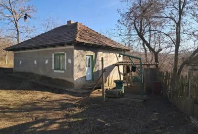 Casa batraneasca de vanzare - 1