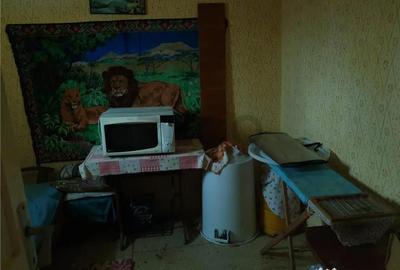 Casă cu 3 camere cu Teren 3000 Mp în Biharia - 17