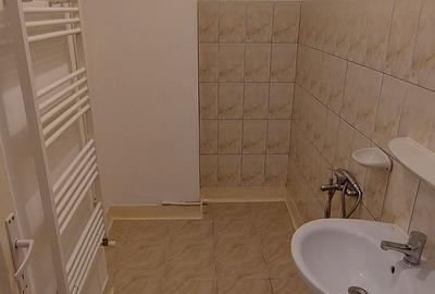 Apartament cu 2 camere semidecomandat în Horea - 3