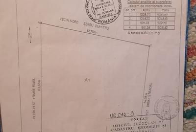 Teren Construcții intravilan de 3850 mp, în Țibrinu - 3