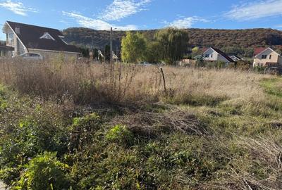 Teren intravilan 600 MP zona  Benta Teren intravilan 600 MP zona  Benta - 4