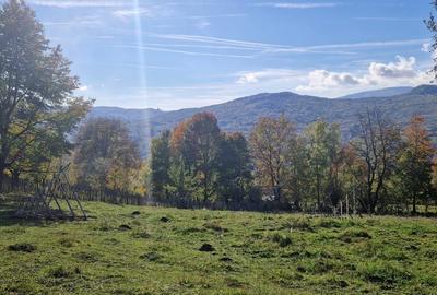 Spațiu comercial, în Teșila - 1