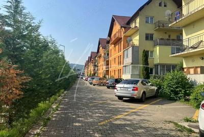 Apartament 2 camere de inchiriat, zona Muzeul Apei - 17