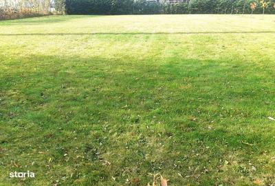 Teren de 700 mp, în Ciurila - 2