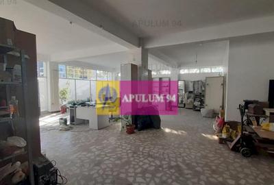 Centru de afaceri cu vad comercial - 7