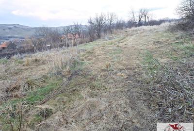 Teren intravilan de vanzare in Berghin- Henig - 4