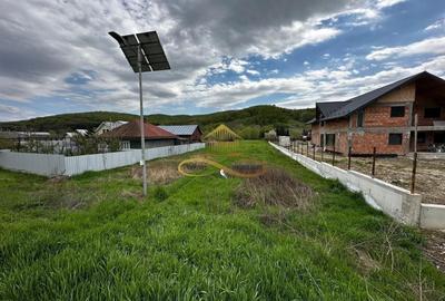 Teren Construcții intravilan de 2892 mp, în Luncani - 2