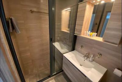 Apartament cu 2 camere decomandat, mobilat în Tineretului - 2