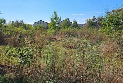 Comuna 1 Decembrie, Jud. Ilfov, teren strada Sperantei - 2