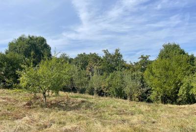 Teren de 2359 mp, în Valea lui Enache - 5
