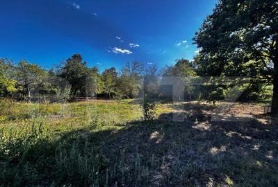 Doua casa de vanzare, teren intravilan 1773 mp, zona Stoloja - 6