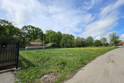 Spațiu comercial, în Lunca Calnicului - 3