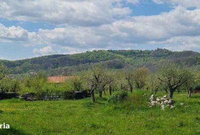 Casă cu 4 camere în Albești - 8