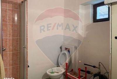 Casă cu 3 camere cu Teren 1090 Mp în Avram Iancu - 4