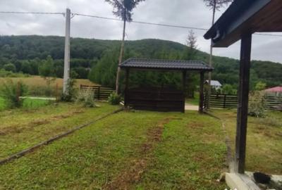 Casă cu 5 camere cu Teren 1250 Mp în Marginea - 11