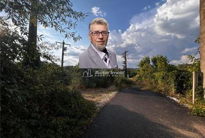 Bocsa Teren 9400 Mp Intravilan - 8