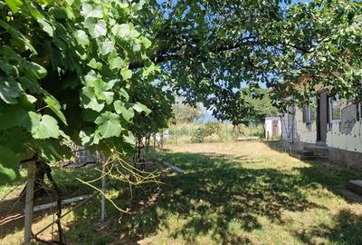 Casa traditionala, cu 2.000mp teren roditor, Izvoarele - 9