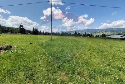 Teren de 9685 mp, în Neagra - 10