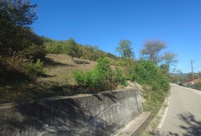 14075 mp teren partial intravilan, cu acces la utilitati - Criscior 14075 mp teren partial intravilan, cu acces la utilitati - Criscior - 5