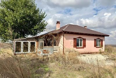 Ferma in Medgidia, zona Tortomanu - 7