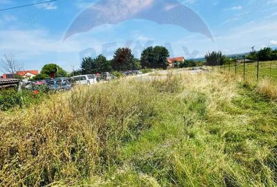 Teren 1,042mp Sarasau / Strada Sarasau - 3