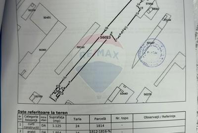 Casă cu 4 camere în Sârbi - 9