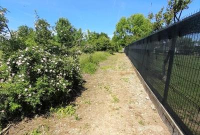 Teren intravilan Snagov / Ciofliceni / 678 mp / D: 52.20 m / comision 0% - 6