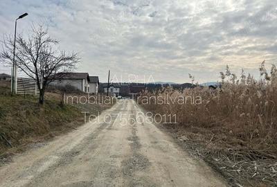 Teren intravilan cu utilitati zona Value Center Zalau, 7.4 ari - 1