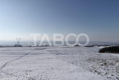 Teren Construcții intravilan de 40300 mp, în Daia - 1