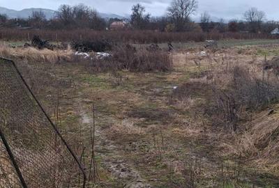 Teren de 2649 mp, în Porumbacu de Jos - 7