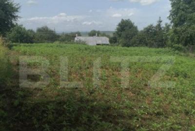 Casă cu 4 camere cu Teren 2300 Mp în Sfântu Ilie - 2