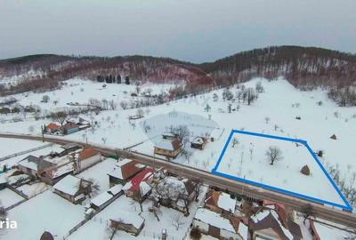 Teren de 3000 mp, în Bratca - 3