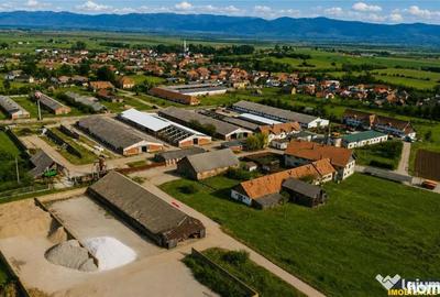 Spațiu comercial, de 9,000 mp, în Central - 13