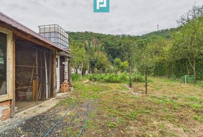 Căsuță de vacanță pentru pescari în Lipova - 4