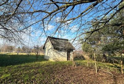 Teren de 2366 mp, în Bercu Roșu - 2