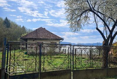 Casă individuală cu 3 camere cu Canalizare în Măgulicea - 15