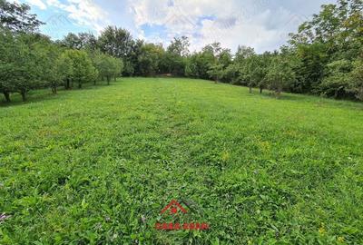 Casă cu Teren 3287 Mp în Câmpina - 8