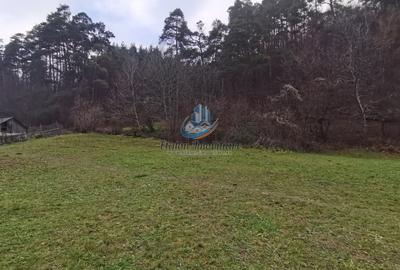 Teren Construcții de 3560 mp, în Periferie - 4