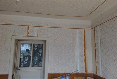 Teren Construcții intravilan de 69237 mp, în Crișcior - 9