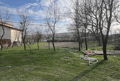 Casă cu Teren 1700 Mp în Răscruci - 4