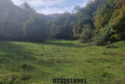 Teren agricol extravilan de 19000 mp, în Dragoslavele