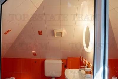 Vila Vatra Luminoasa, Bucuresti - 17