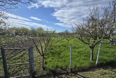 Teren Construcții intravilan de 1300 mp, în Curtișoara - 5